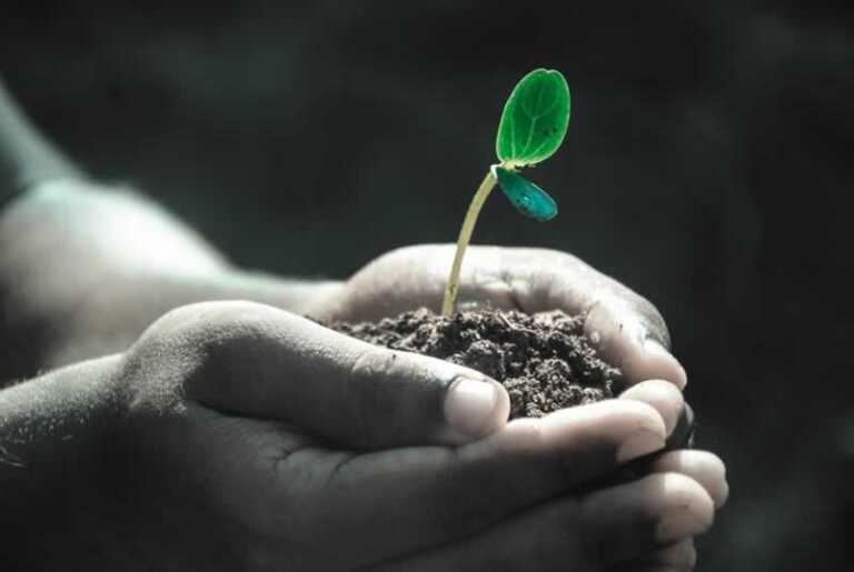 5 Interesting Ways To Improve The Soil In Your Lawn Or Garden