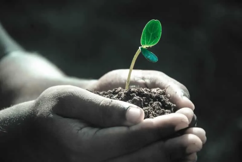5 Interesting Ways To Improve The Soil In Your Lawn Or Garden