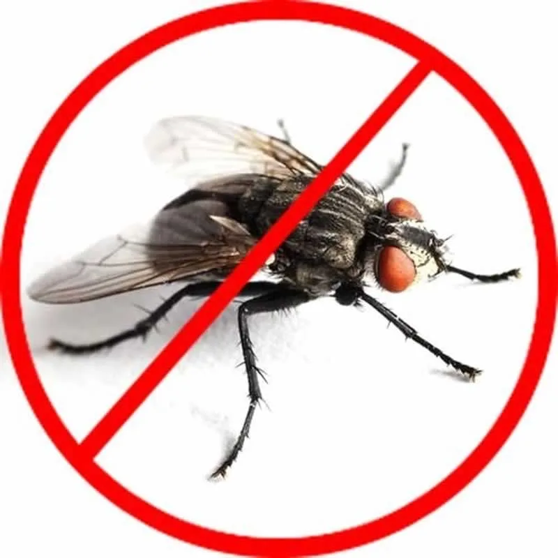 no house fly sign