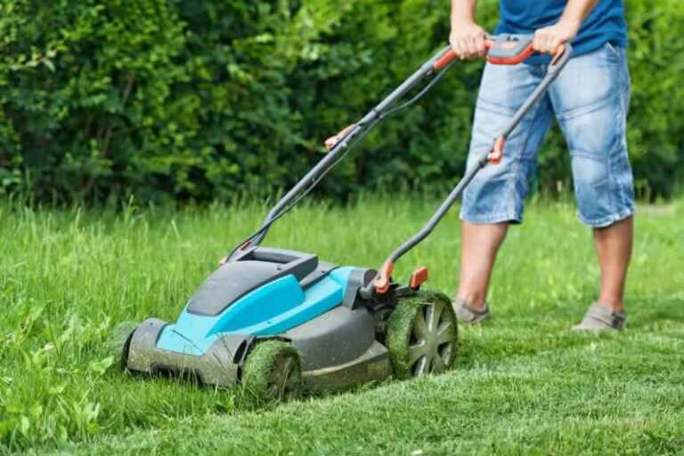 How to mow a lawn professionally