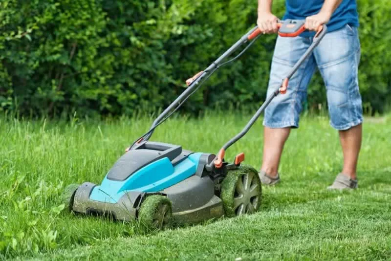 How to mow a lawn professionally