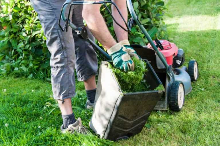 11 Tips For A Beautiful Lawn for Every Season