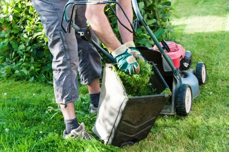11 Tips For A Beautiful Lawn for Every Season