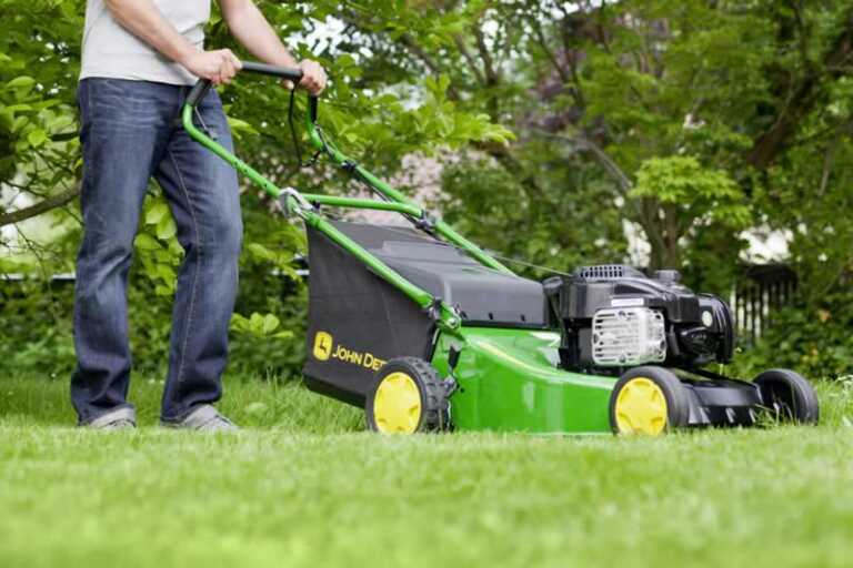 3 Essential Tools to Clean up Your Garden Instantly