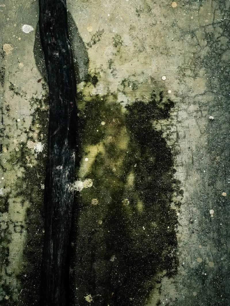 black mold spreading on the wall