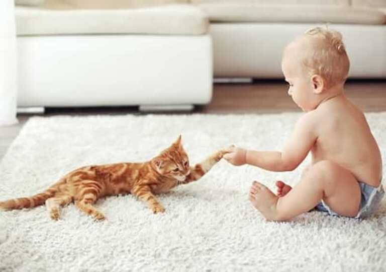 How Rugs and Mattress Can Benefit Your Baby
