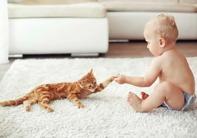 How Rugs and Mattress Can Benefit Your Baby
