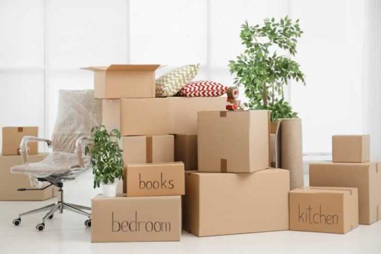 Packing tips that will surely help you while Moving