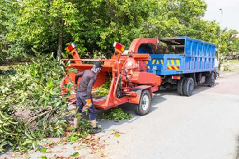 How To Hire A Tree Service