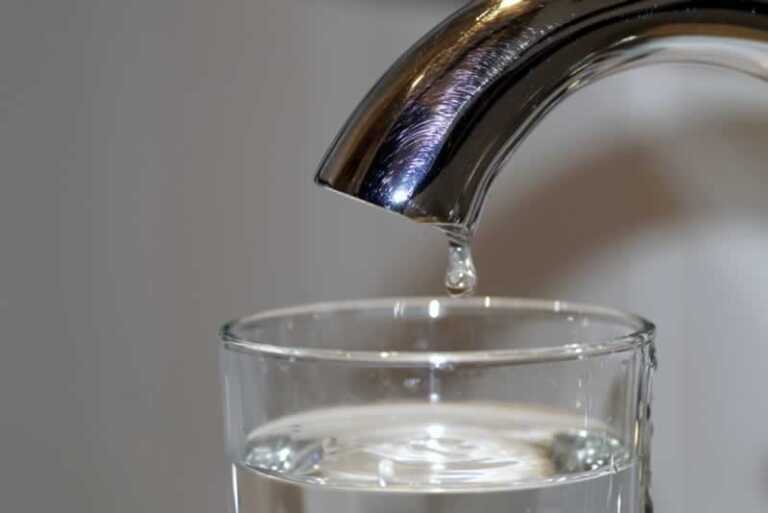 The 7 Best Home Water Filters of 2019