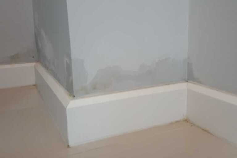 How to Treat Damp in Your Home