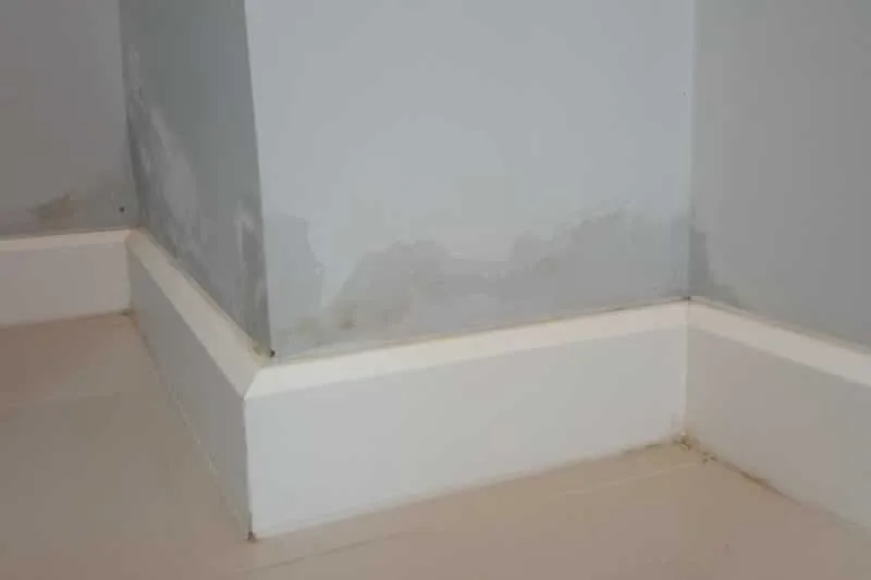 How to Treat Damp in Your Home