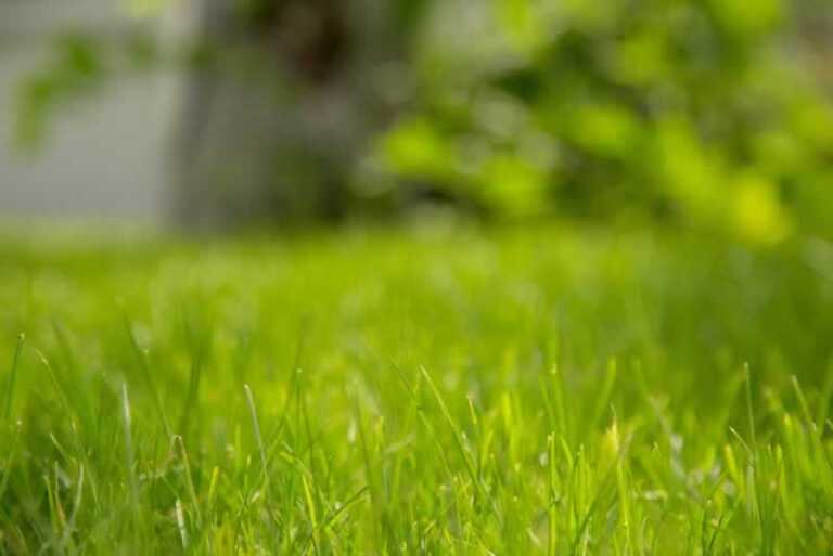 Residential Artificial Turf