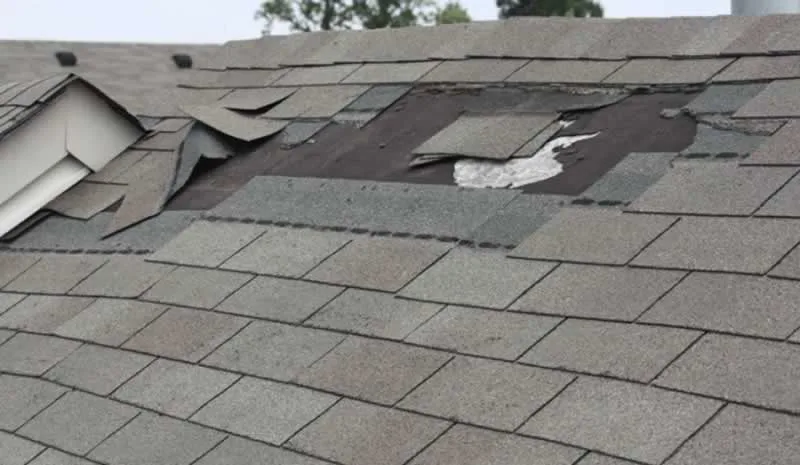 Roof Damage Repair Guide