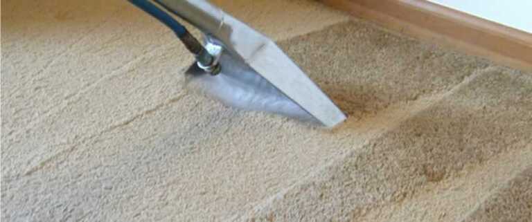 The Benefits of Hiring a Professional Carpet Cleaning Company