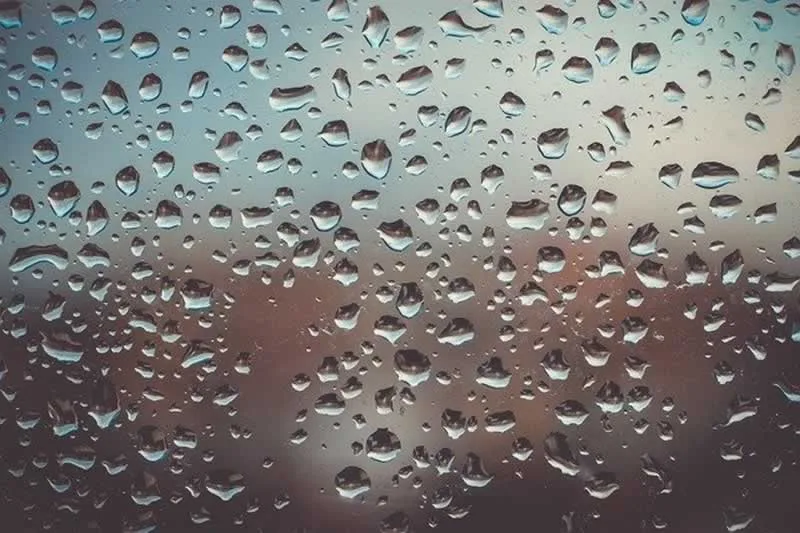 Right Humidity Levels for Winter