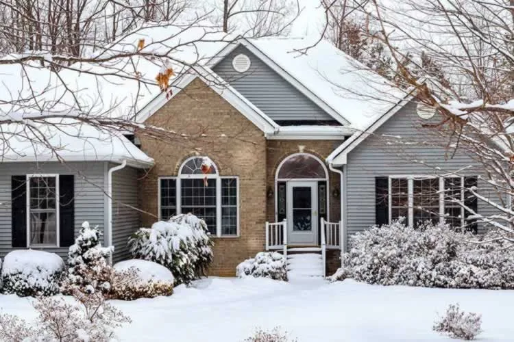 Should you leave window screens during winter