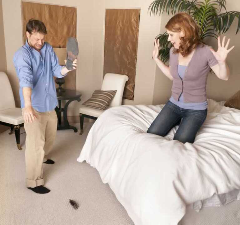 Surprising Signs of a Home Pest Infestation