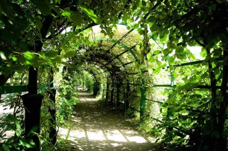 Tips To Improve Your Garden