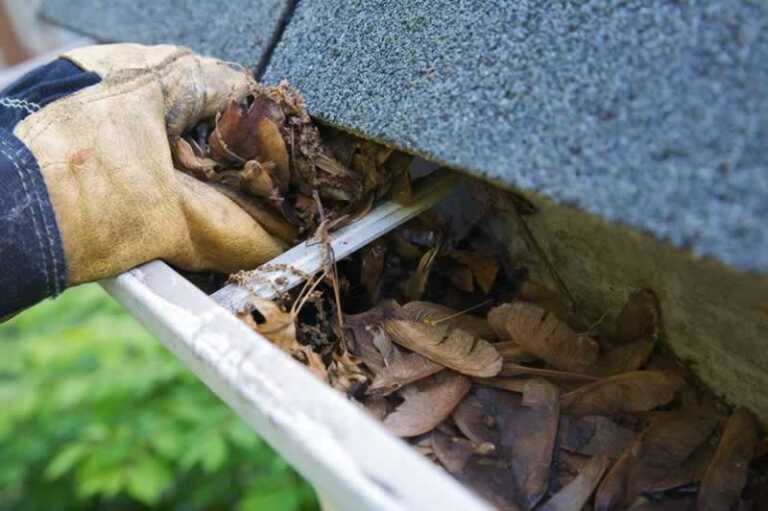 Why Cleaning Your Gutters Should Be At The Top Of Your To-Do List