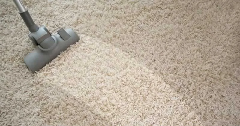 Your Health Depends on Your Carpet’s Condition