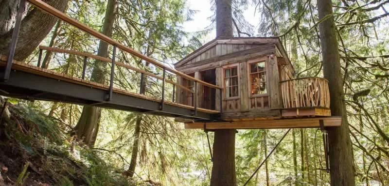 DIY Tips for Building Your Own Backyard Treehouse
