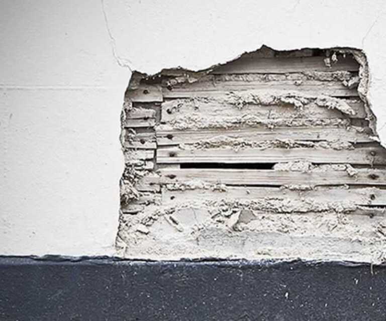 Health Signs of Asbestos Exposure