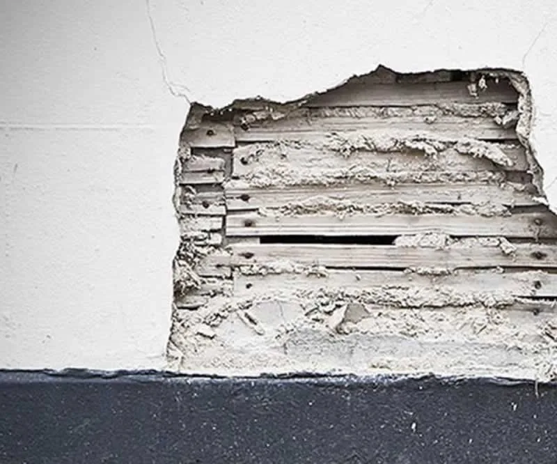 Health Signs of Asbestos Exposure
