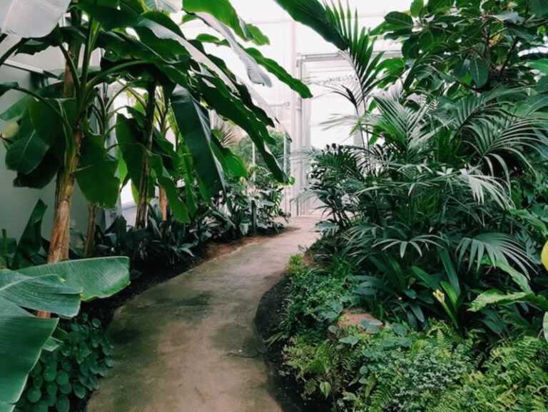 How Landscaping Can Protect Your Privacy
