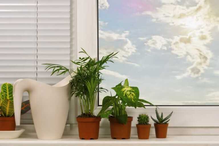 How To Spice Up Your Home's Look With Plastic Plants
