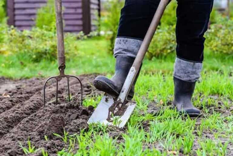 How do I prepare my garden for planting