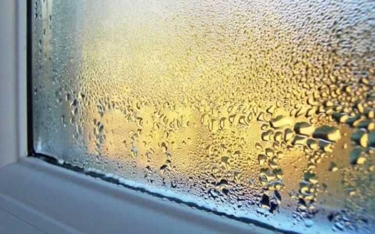 How to Lower Humidity in House