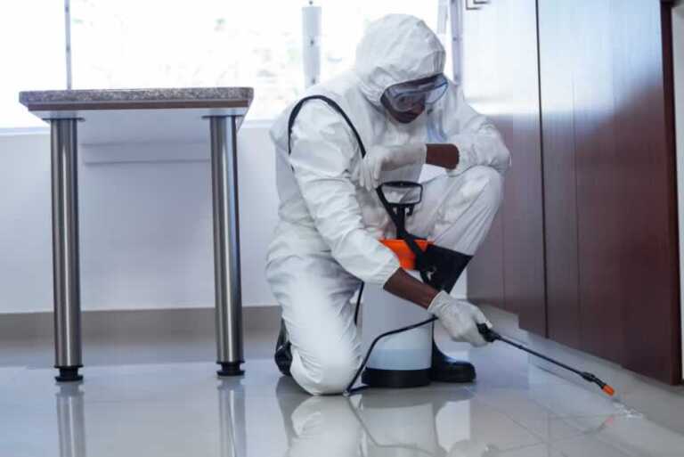 The Importance of Hiring a Pest Control Professional for the home