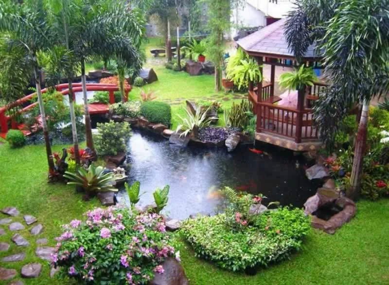 Must have equipment for the backyard pond