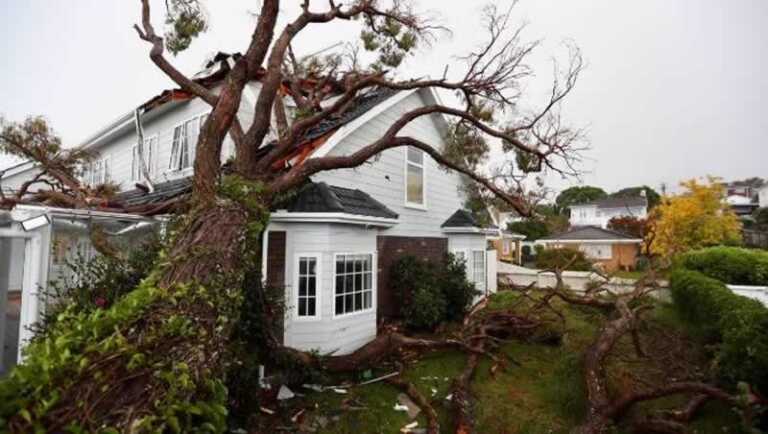 What to Do If a Storm has Damaged your Home