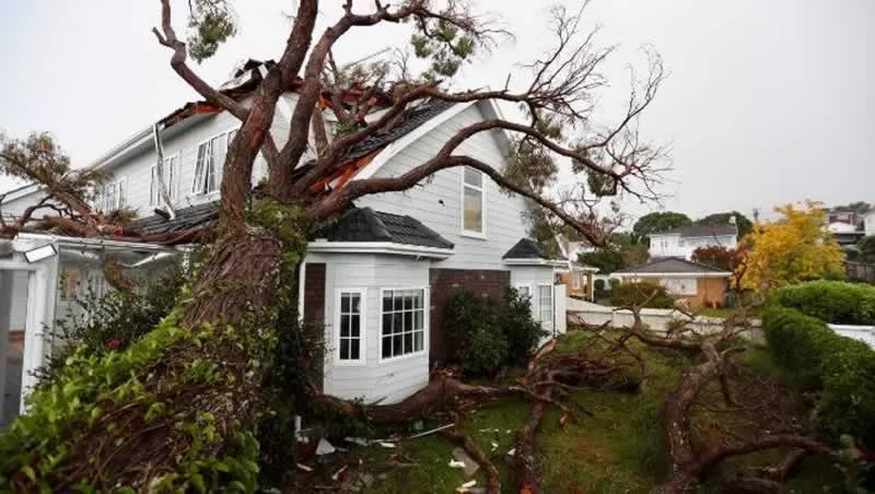 What to Do If a Storm has Damaged your Home