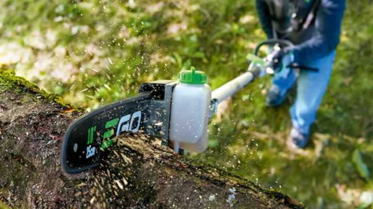 Types of Pole Saws and Tips to Maintain Pole Saw