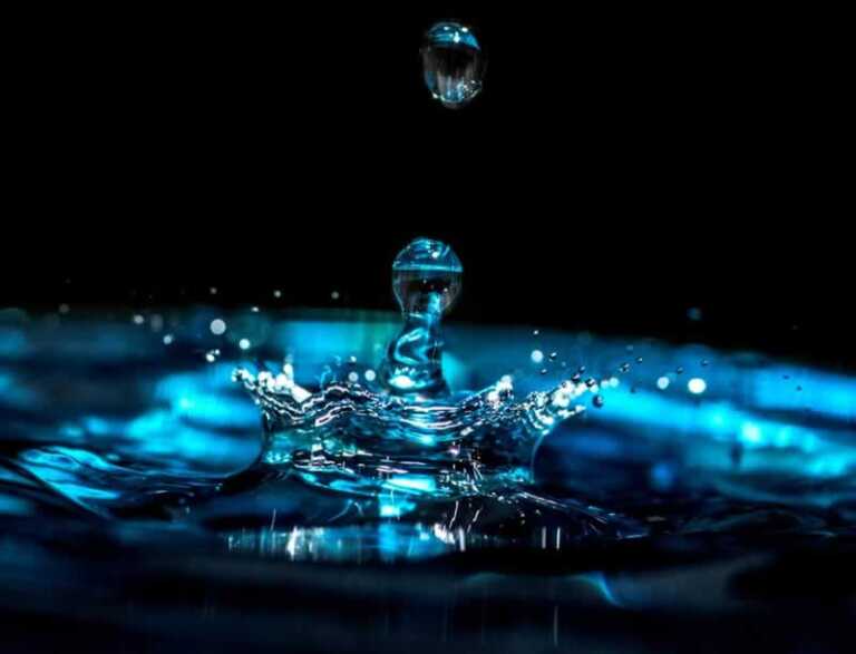 Virus & Bacteria Water Filter Review