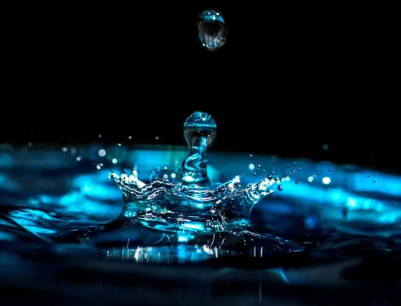 Virus & Bacteria Water Filter Review