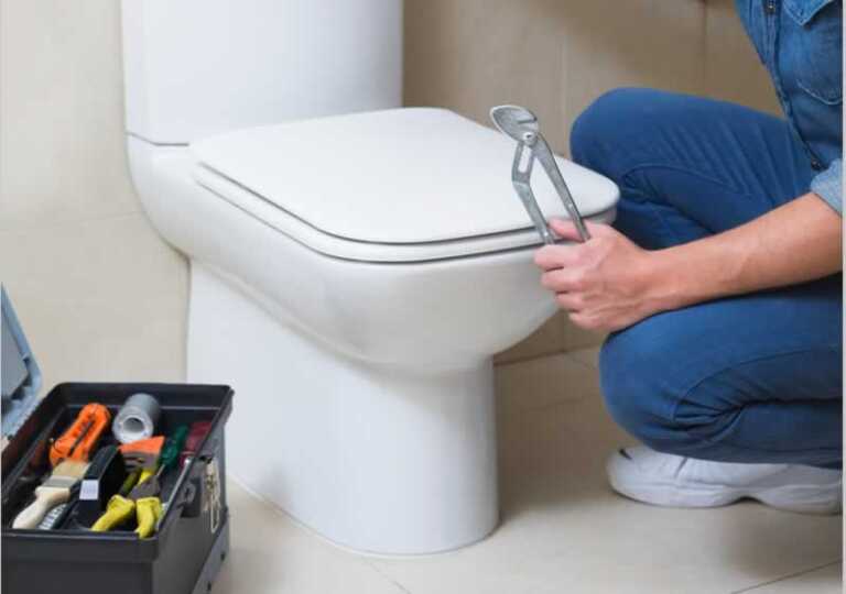 Choosing a Professional for Toilet Repair