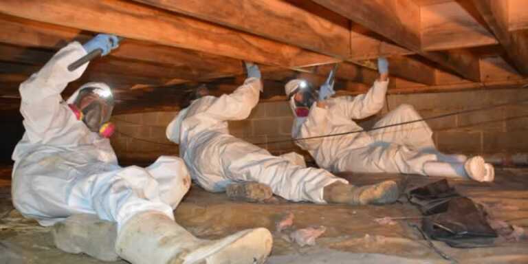 Finding a Provider for Crawl Space Repair