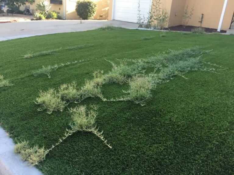 What Should I Do if My Artificial Grass is Old