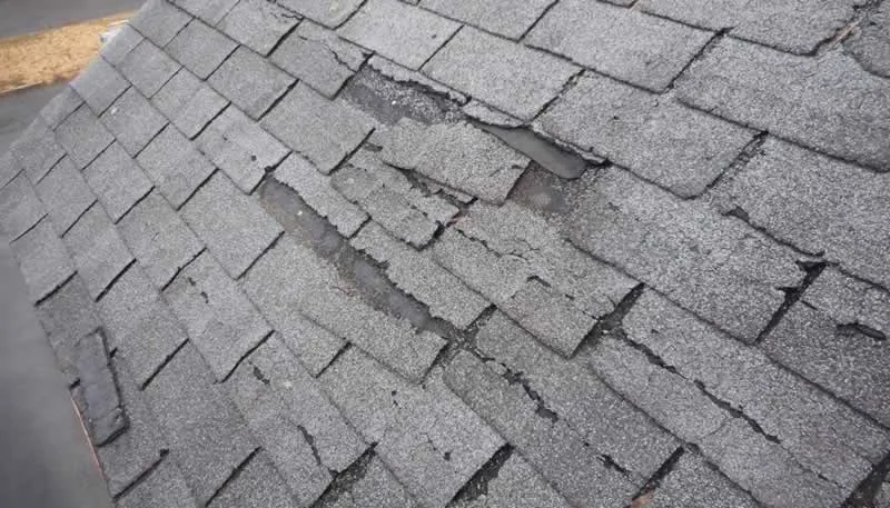 5 Signs of Roof Damage You Can't Ignore