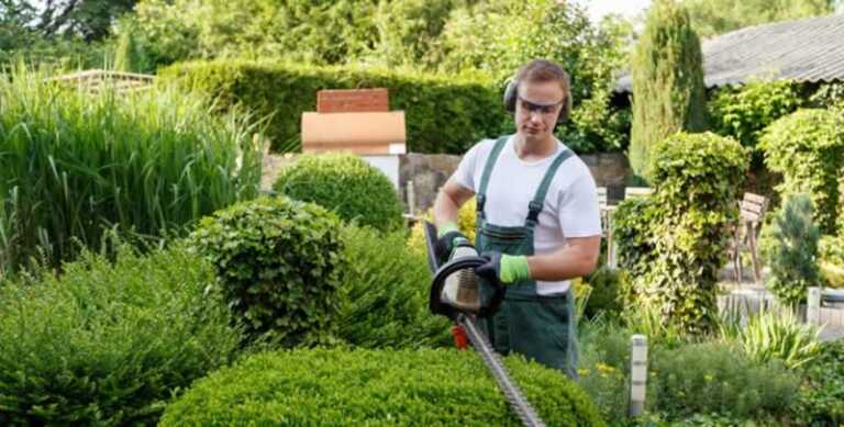 What are the benefits of obtaining commercial grounds maintenance services in Delaware