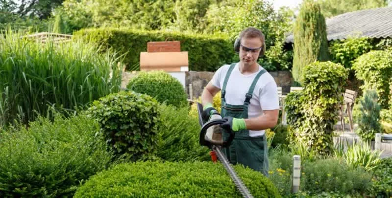 What are the benefits of obtaining commercial grounds maintenance services in Delaware