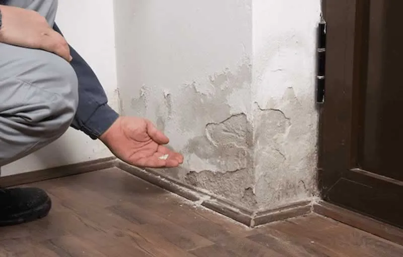 Why Inspect Your Home on the Island for Water Damage