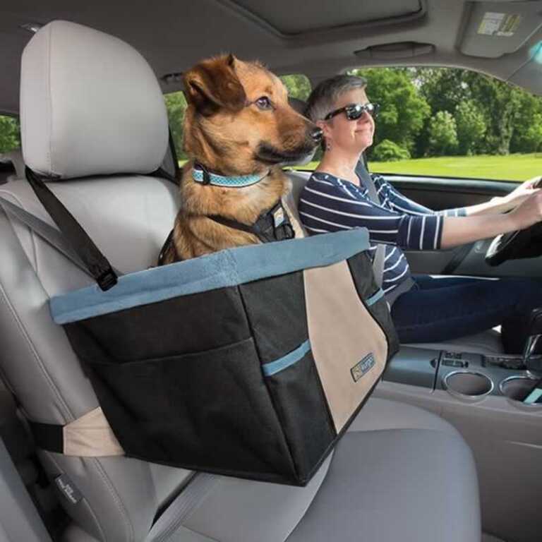 Why you must only purchase a high-quality car seat for your dog