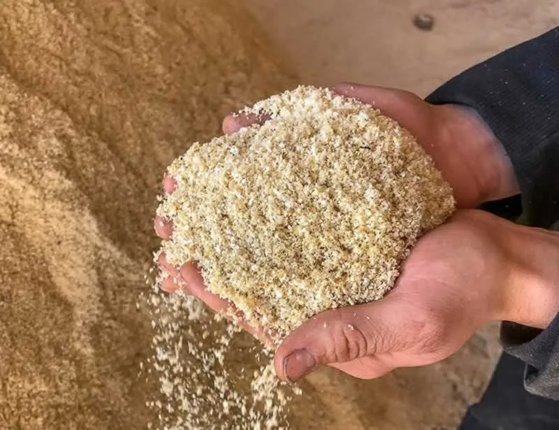 5 Smart Ways to Recycle Sawdust