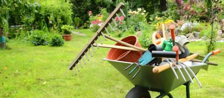 8 Must-Have Tools That Will Make Your Gardening Experience Easier and More Enjoyable