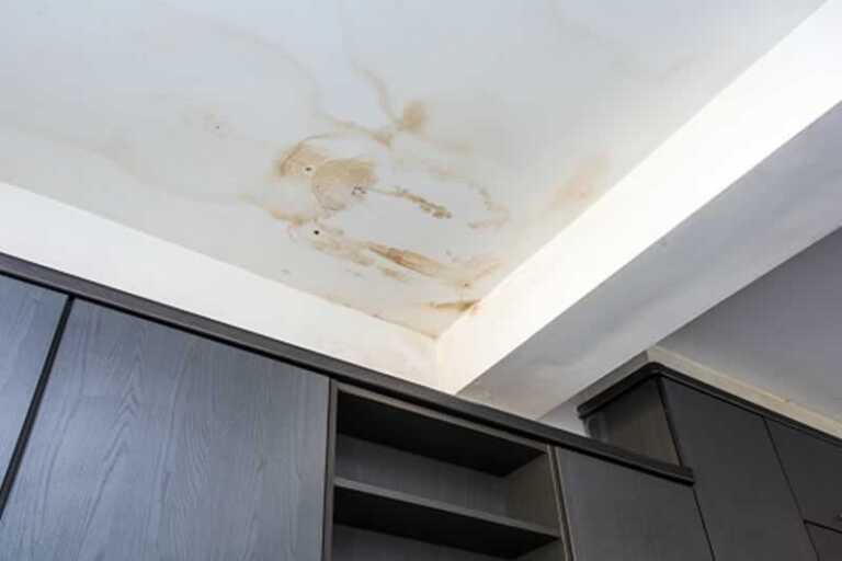 Early Signs of Roof Damage You Should Look Out For